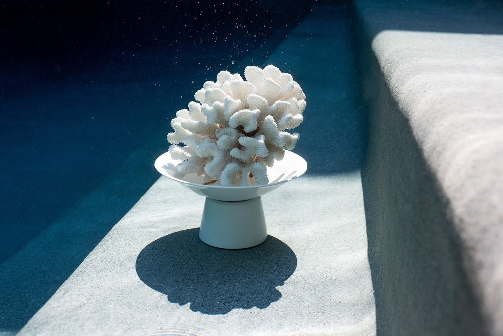 Underwater Altars : Clear Mind