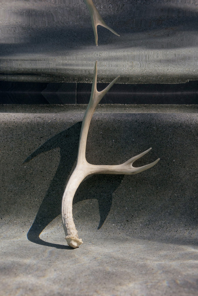 Underwater Altars : Voyage