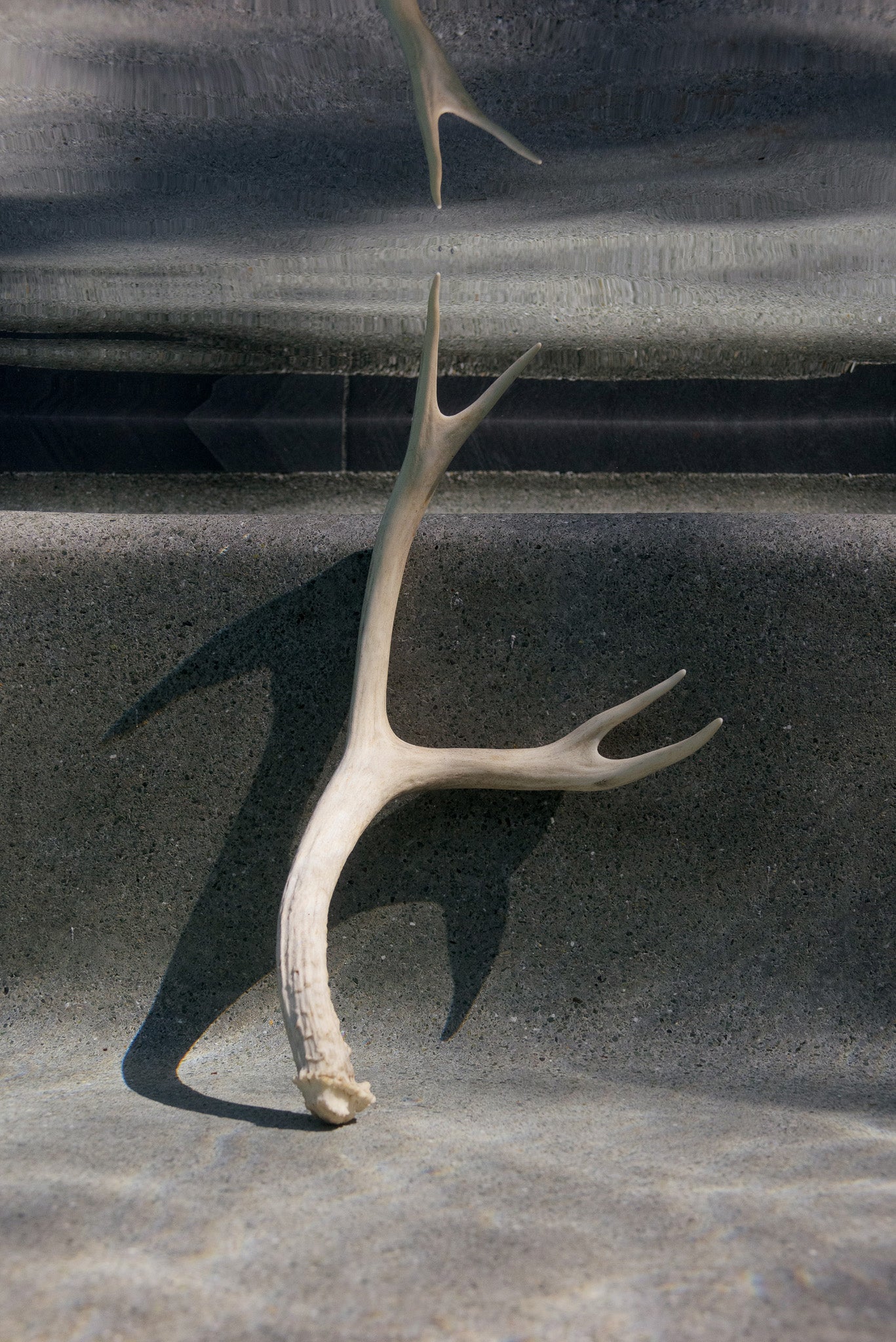 Underwater Altars : Voyage