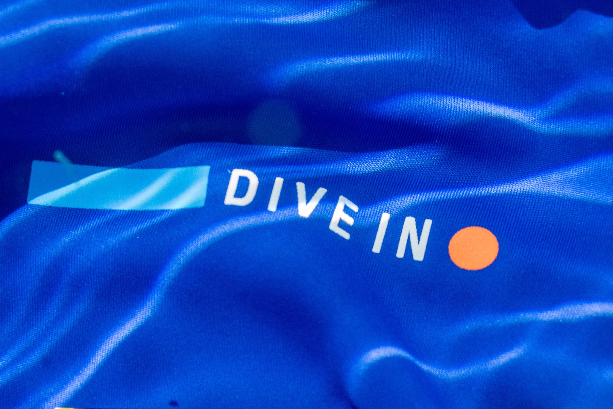 Merch: DIVE IN Swim Shirt - Kid and Adult